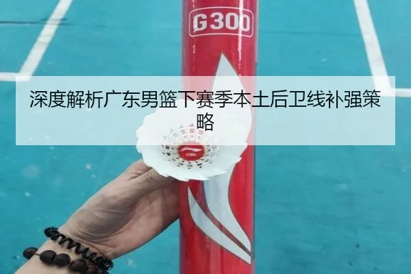 深度解析广东男篮下赛季本土后卫线补强策略 | hth